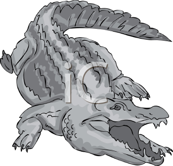 Crocodile Clipart