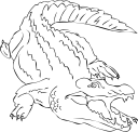 Crocodile Clipart