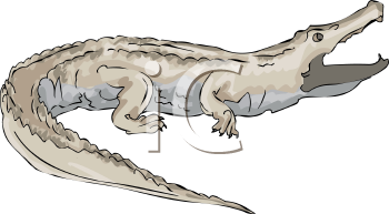 Crocodile Clipart
