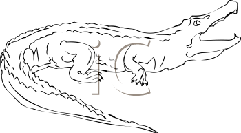 Crocodile Clipart