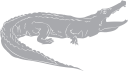 Crocodile Clipart