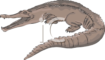 Crocodile Clipart