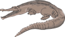 Crocodile Clipart