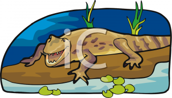 Crocodile Clipart