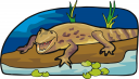 Crocodile Clipart