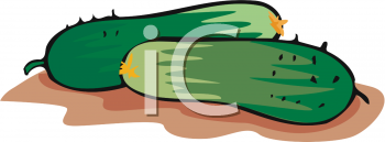 Cucumber Clipart