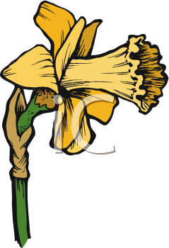 Daffodil Clipart