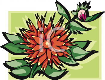 Dahlia Clipart