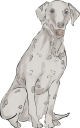 Dog Clipart