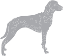 Dog Clipart