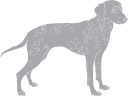 Dog Clipart