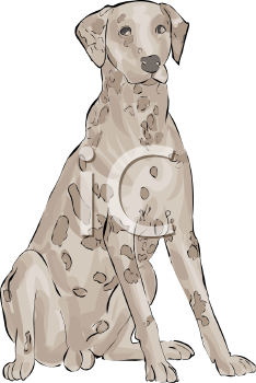 Dog Clipart