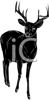 Mammal Clipart