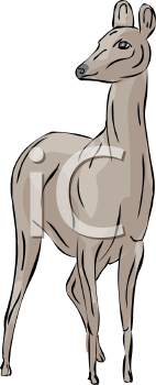 Deer Clipart