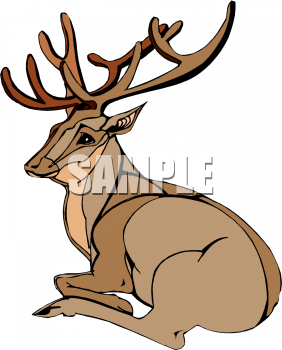 Deer Clipart