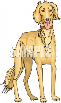 Dog Clipart