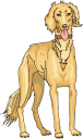 Dog Clipart