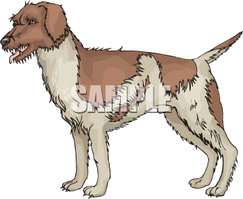 Dog Clipart