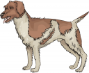 Dog Clipart