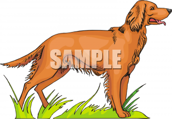 Dog Clipart