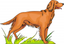 Dog Clipart