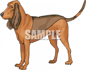 Dog Clipart