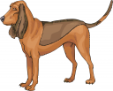 Dog Clipart