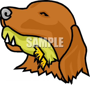 Dog Clipart