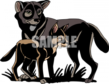 Wolf Clipart