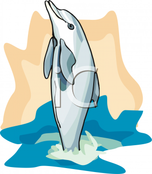 Dolphin Clipart