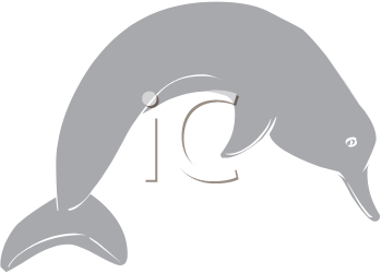 Dolphin Clipart