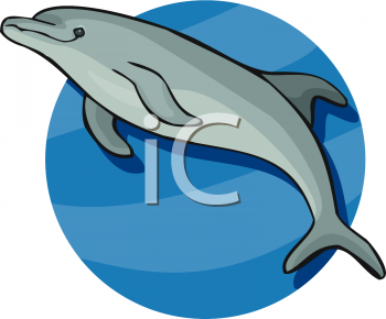 Dolphin Clipart