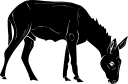 Donkey Clipart