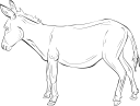 Donkey Clipart