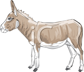 Donkey Clipart