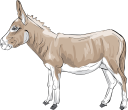 Donkey Clipart