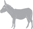 Horse Clipart