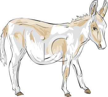 Donkey Clipart