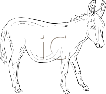 Donkey Clipart