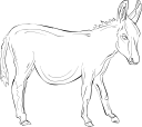 Donkey Clipart