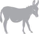 Donkey Clipart