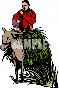 Donkey Clipart