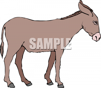 Donkey Clipart