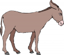 Donkey Clipart