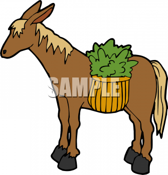 Donkey Clipart