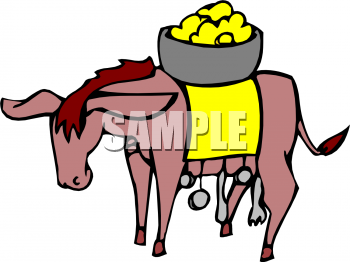 Donkey Clipart