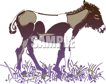 Donkey Clipart