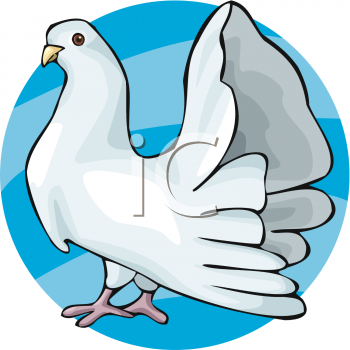 Dove Clipart