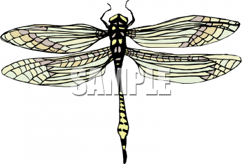 Bug Clipart