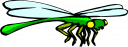 Bug Clipart